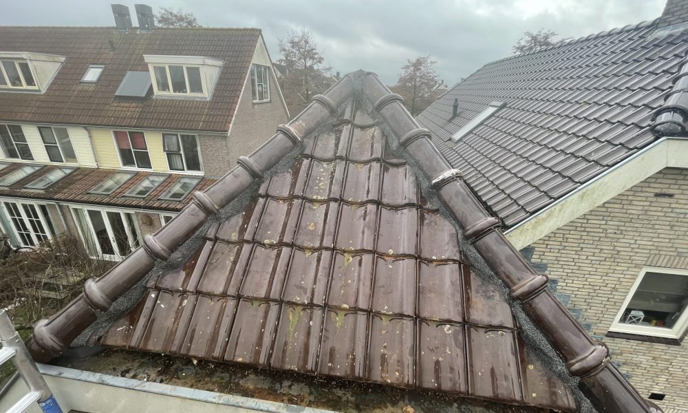 Pannendak Renovatie